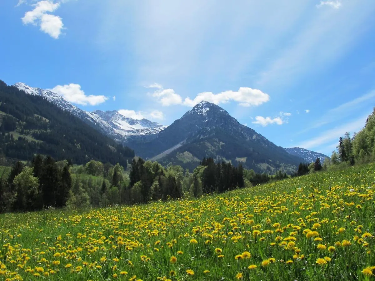Apartment Hornblick Fewo- Ab Mai Freie Fahrt Mit Bergbahnen Oberstdorf